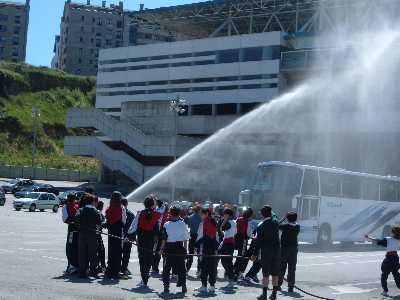 Seguridad Ciudadana