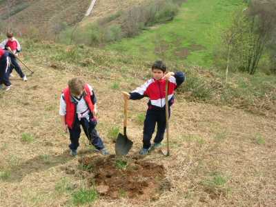 practicas