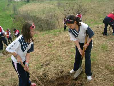 practicas
