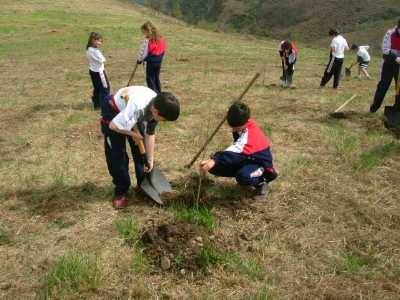 practicas