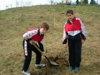practicas