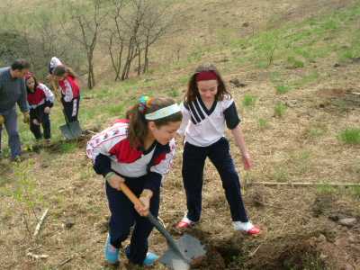 practicas