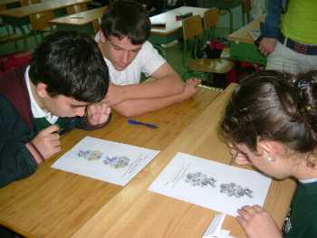 practicas