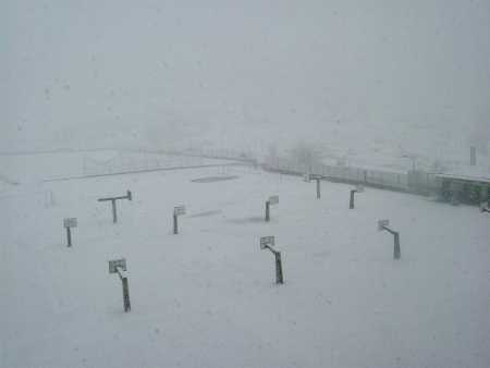 Bajo la nieve