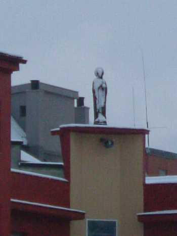 Bajo la nieve