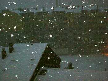 Bajo la nieve