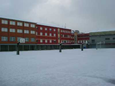 Bajo la nieve