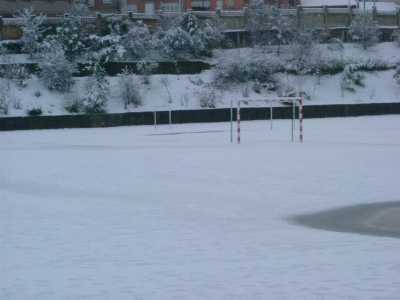 Bajo la nieve