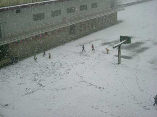 Bajo la nieve