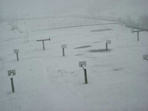Bajo la nieve