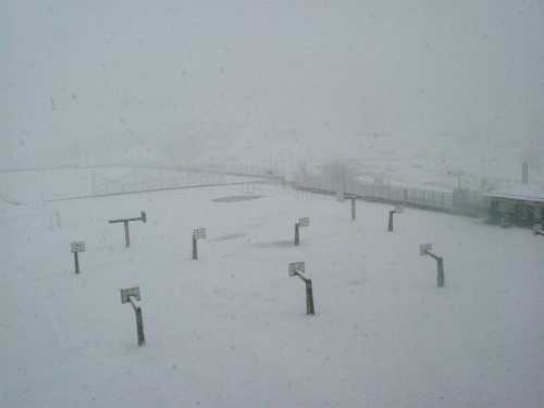 Bajo la nieve