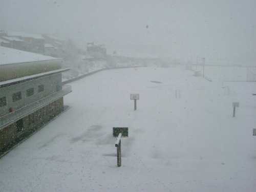 Bajo la nieve