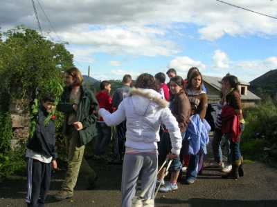 practicas