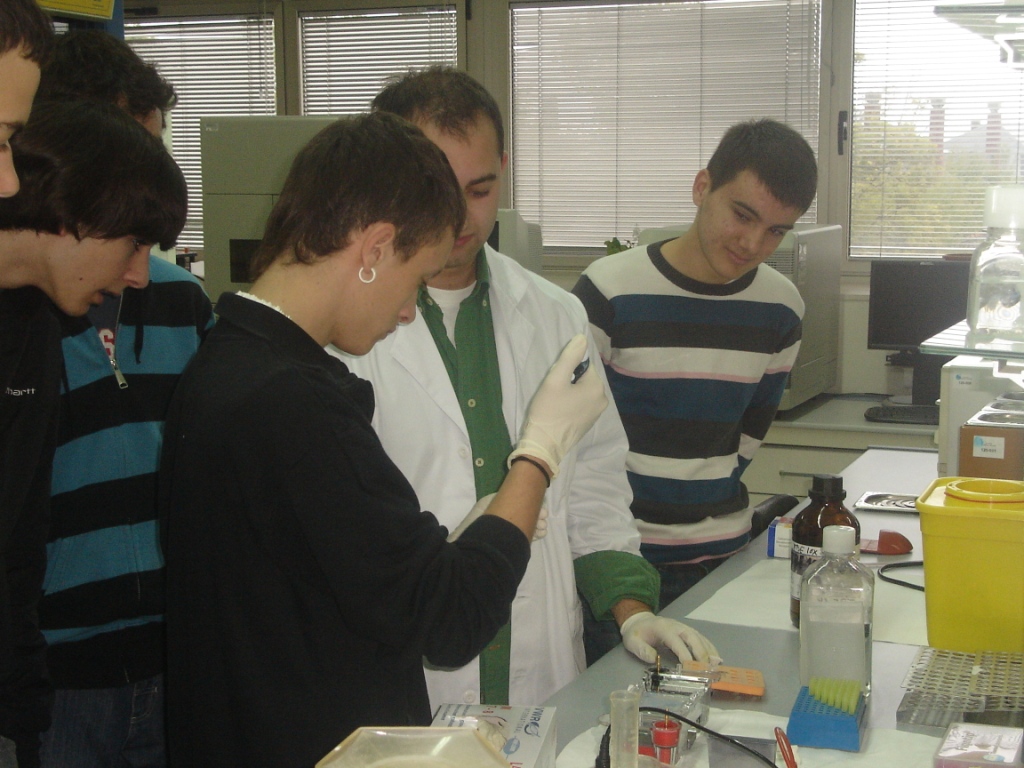 practicas