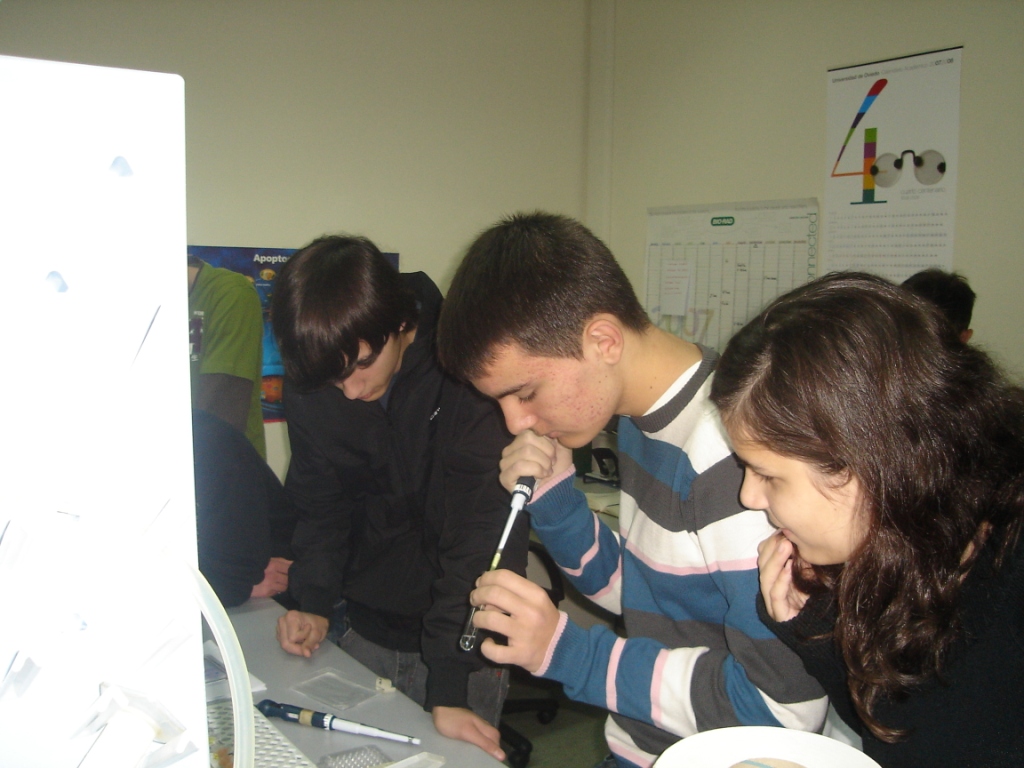 practicas
