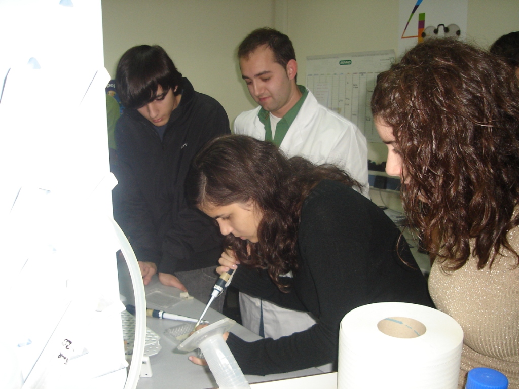 practicas