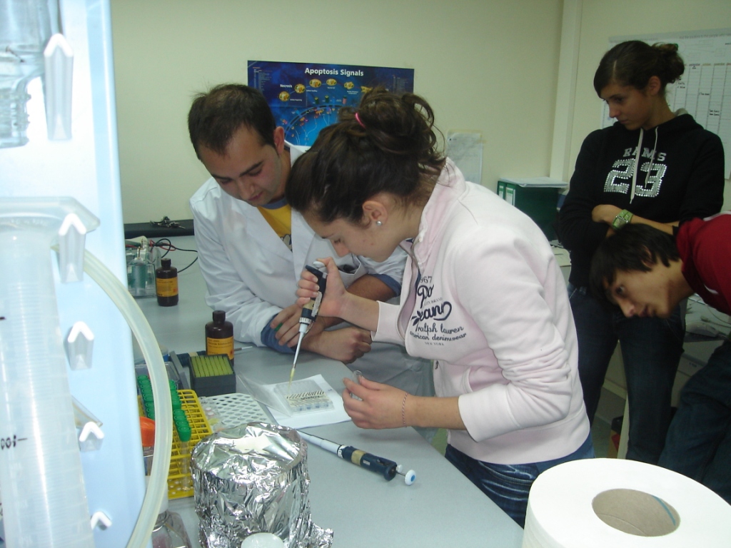 practicas