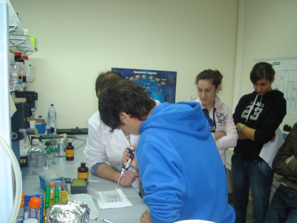 practicas