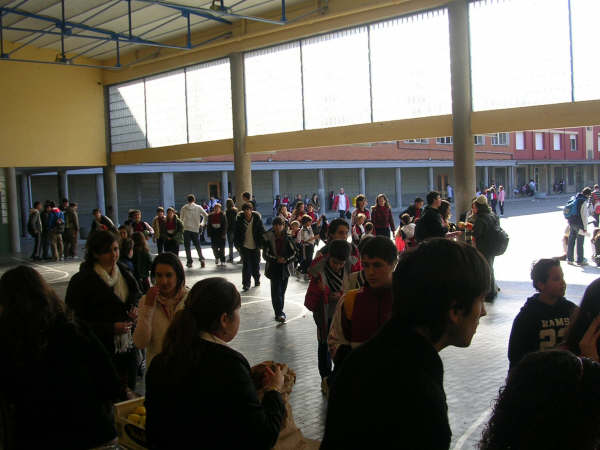 practicas