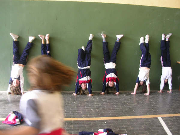 practicas