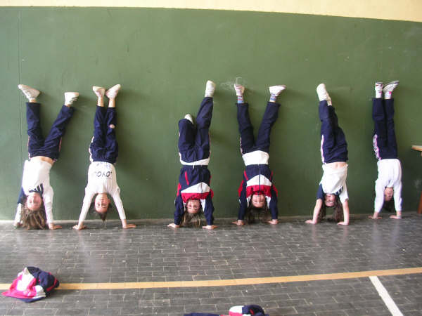 practicas