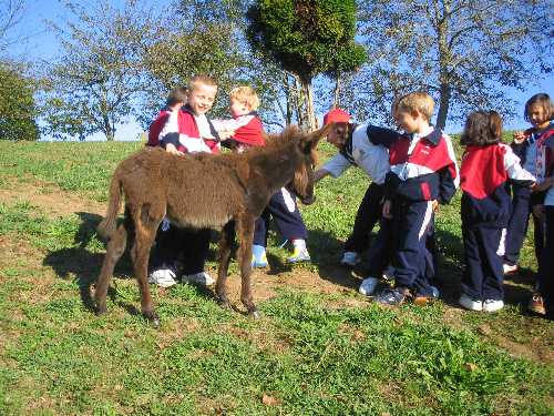 practicas