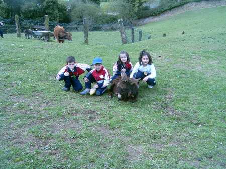 practicas