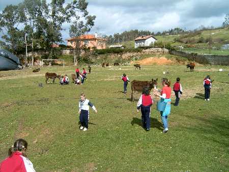 practicas