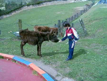 practicas