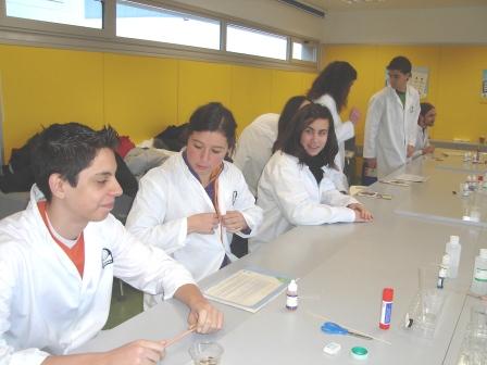 practicas