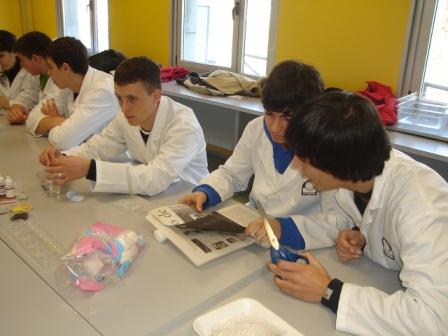 practicas