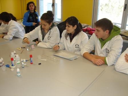 practicas