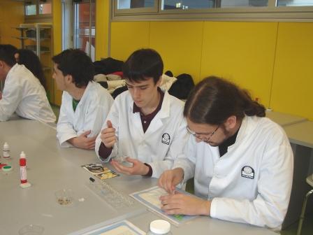 practicas