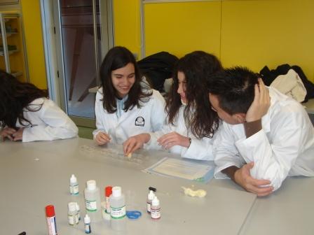 practicas