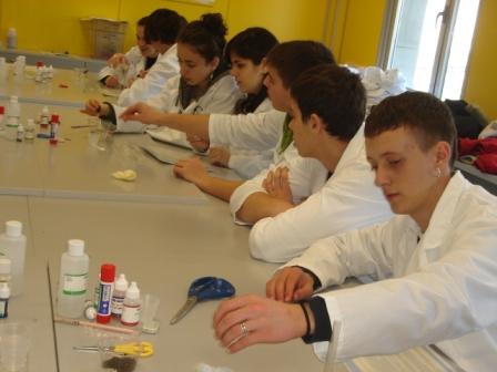 practicas