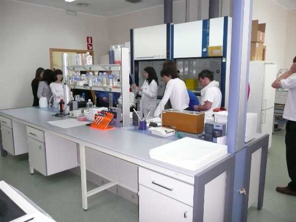 practicas