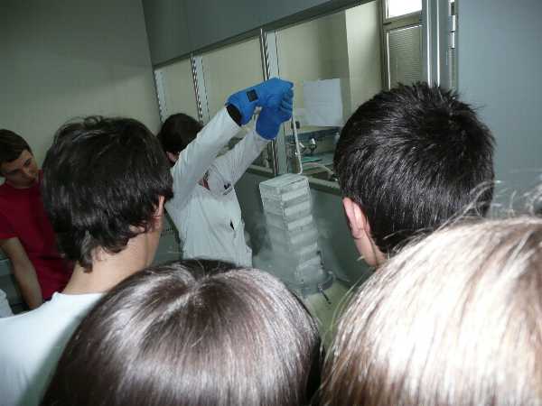 practicas