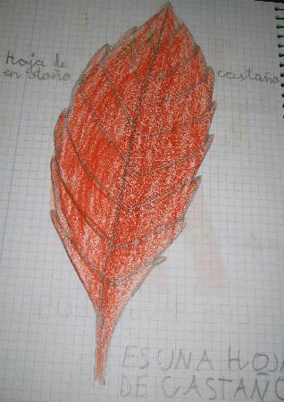 Amag�estu