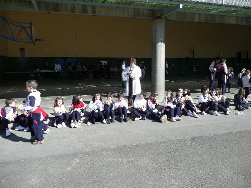 Operaci�n Bocata