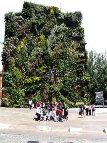 En la Bolsa