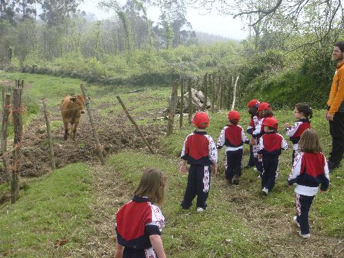 En la granja