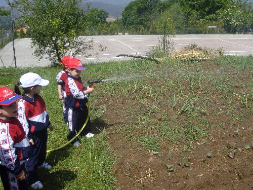 En la granja