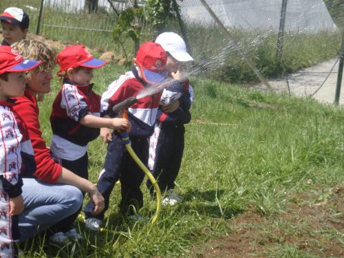 En la granja