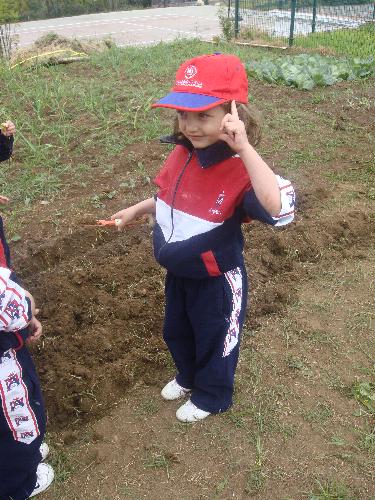 En la granja