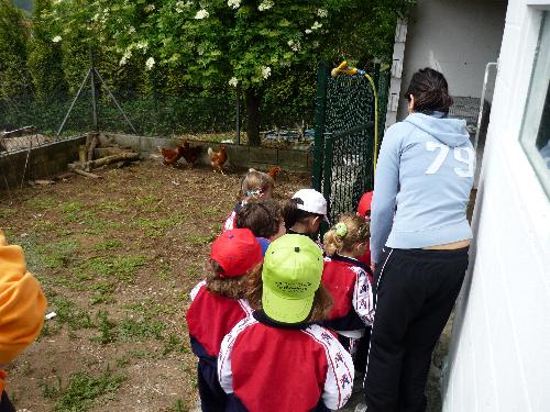 En la granja