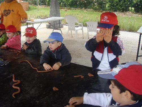 En la granja