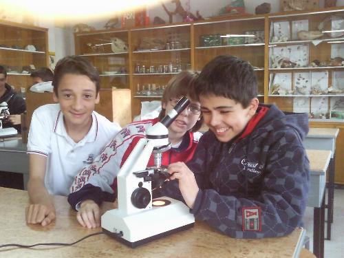 El Microscopio