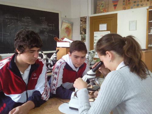 El Microscopio
