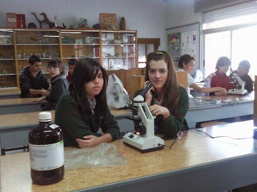 El Microscopio