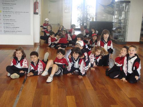 En el acuario